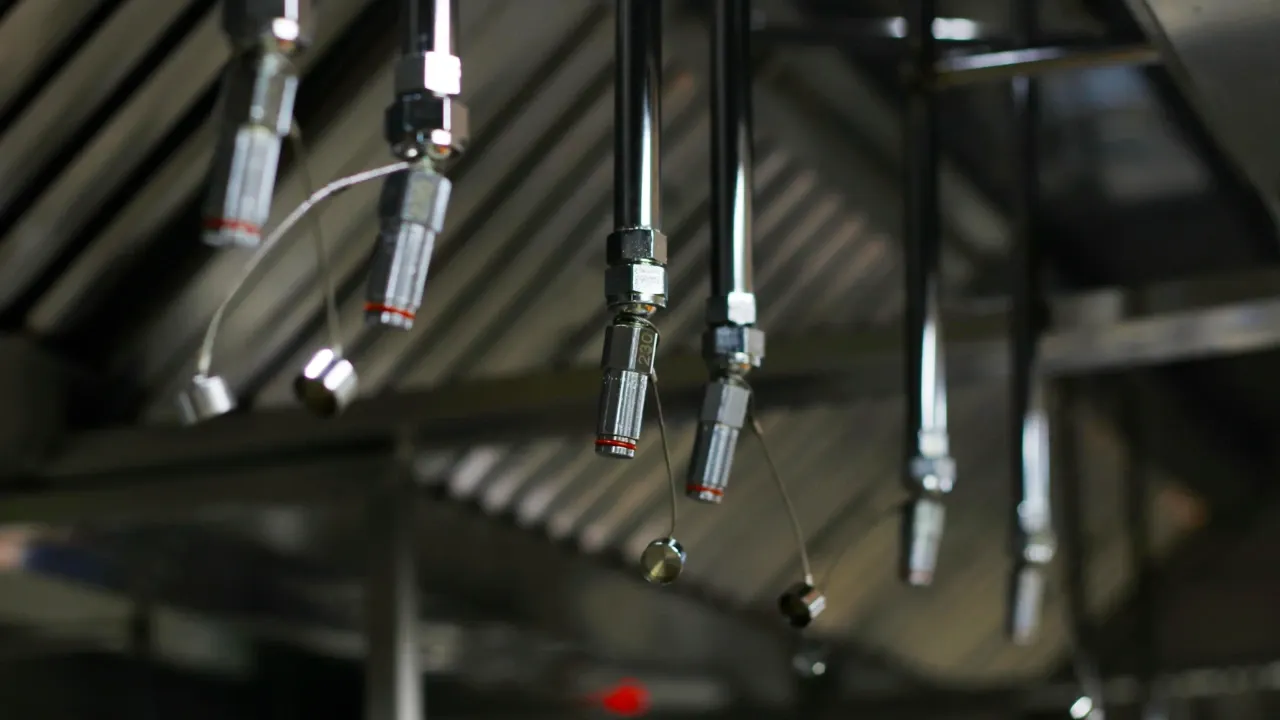 Fire suppression pipes from a ceiling