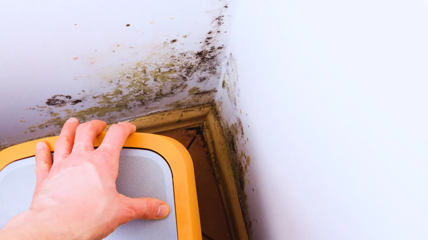 Awaab’s Law | Guide for HMOs and Landlords
