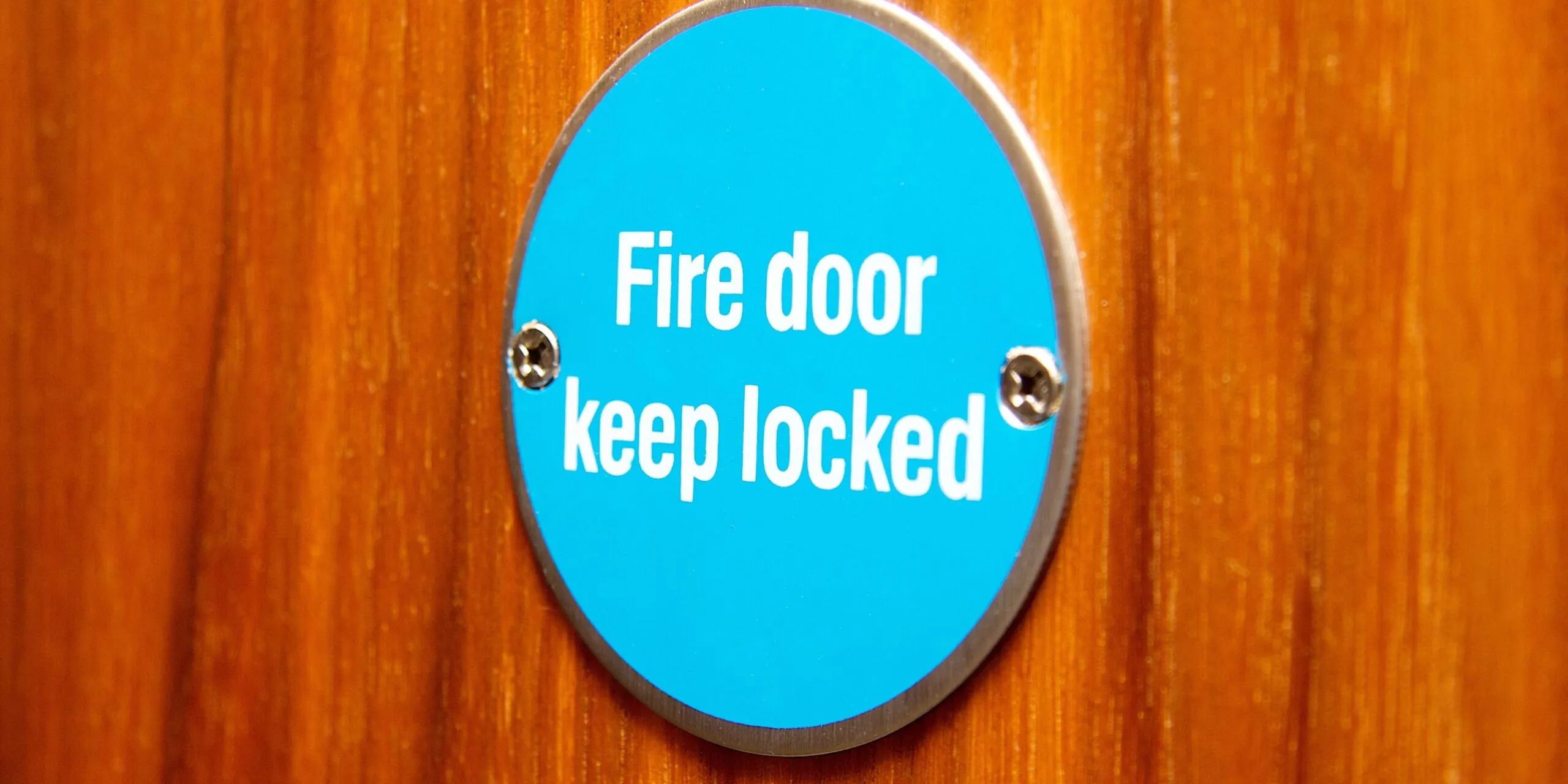 FD30 Fire Door