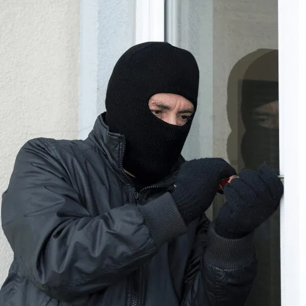 Burglar